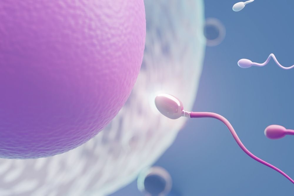 Graph showing success rates of fertility treatments
